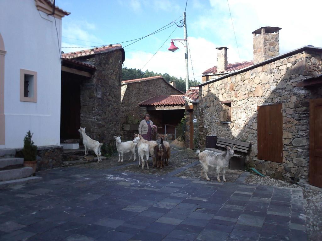 Casinha Do Mexico Villa Gondramaz Kültér fotó